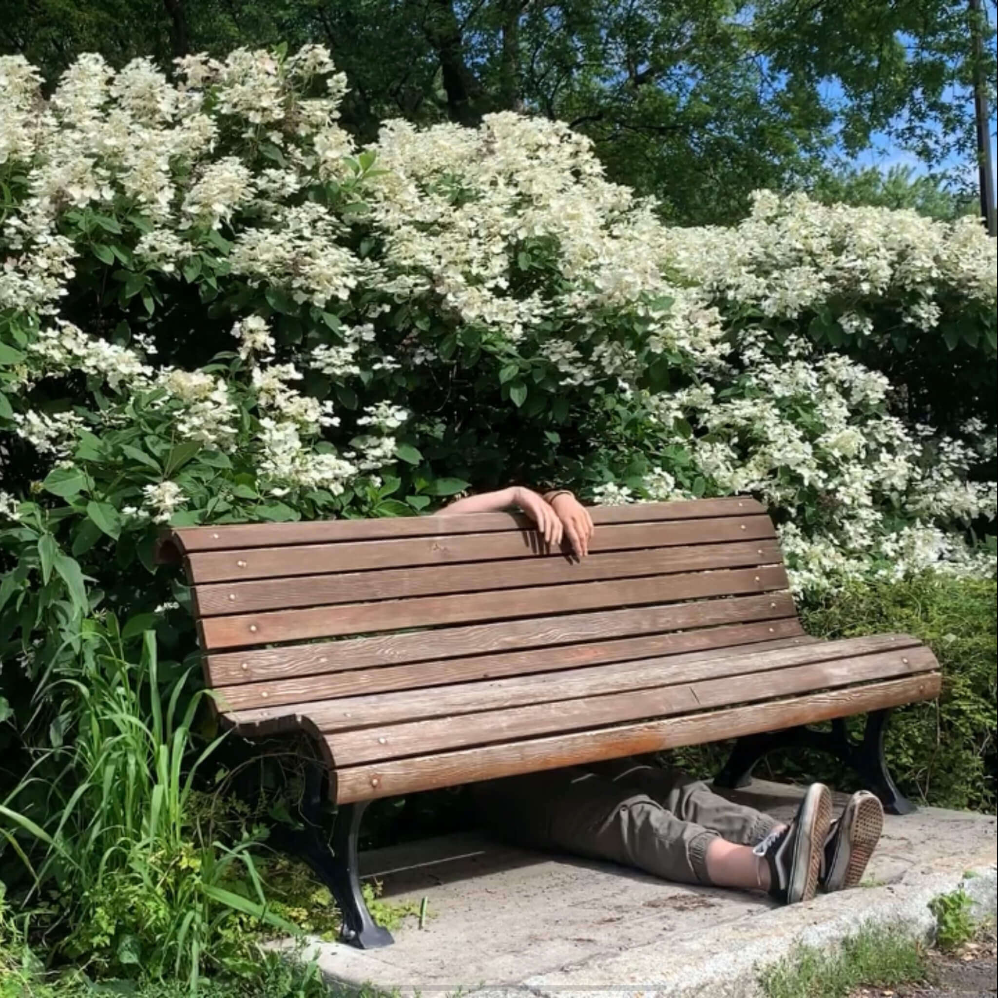 L'interprète en danse Marie Lévêque se cache derrière un banc.