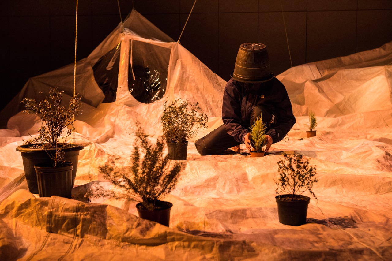 Un petre mi-humain, mi-végétal tient une plante.