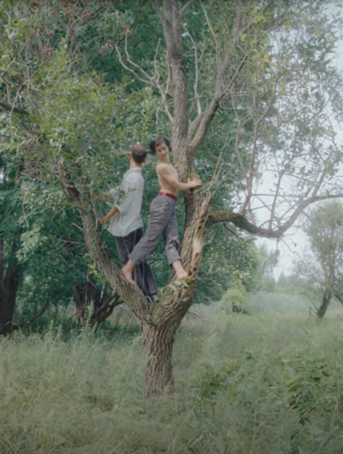Deux danseurs posés sur un arbre